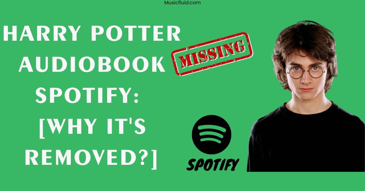 Harry Potter Audiobook Spotify