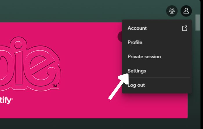 profile settins in spotify desktop