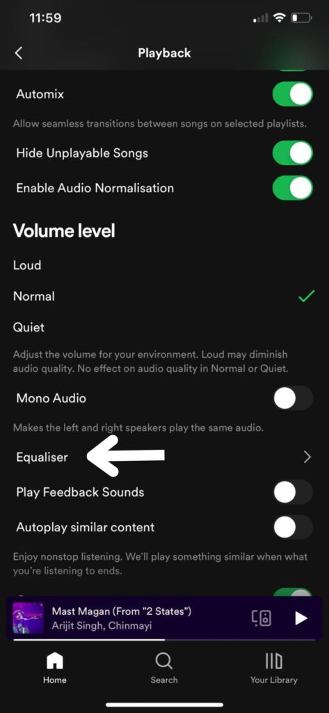 equalizer option in spotify