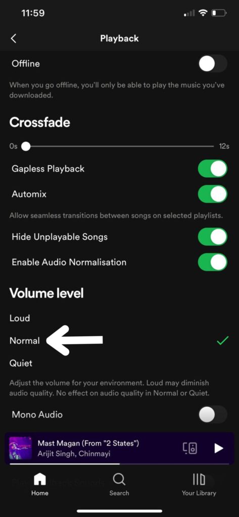 spotify volume level