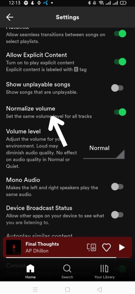 normalize option in spotify android
