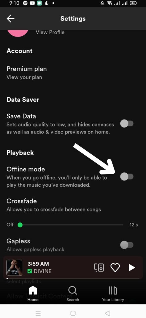where is offline mode in spotify